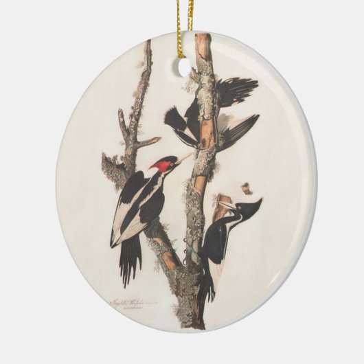 Audubon Ivory-Bled Woodpecker Keramisch Ornament (Links)