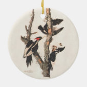 Audubon Ivory-Bled Woodpecker Keramisch Ornament (Achterkant)