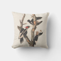 Audubon Ivory-Bled Woodpecker