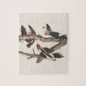Audubon Ivory-Bled Woodpecker Legpuzzel (Verticaal)