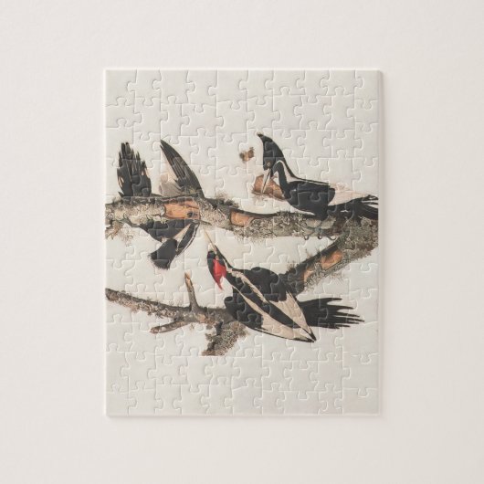 Audubon Ivory-Bled Woodpecker Legpuzzel (Verticaal)
