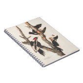 Audubon Ivory-Bled Woodpecker Notitieboek (Rechterzijde)