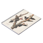 Audubon Ivory-Bled Woodpecker Notitieboek (Linkerzijde)