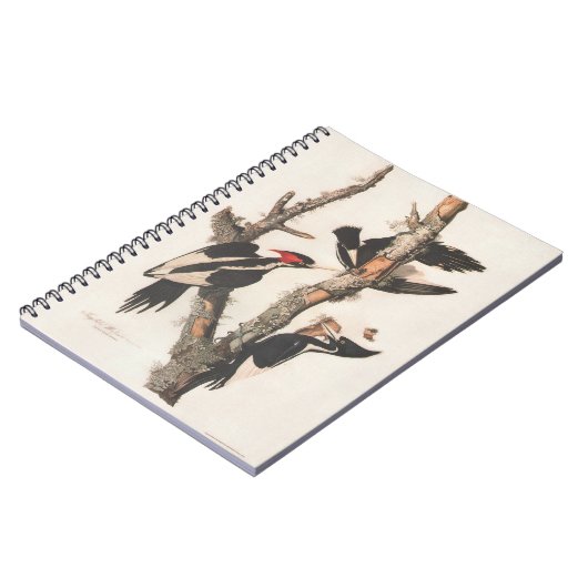 Audubon Ivory-Bled Woodpecker Notitieboek (Linkerzijde)
