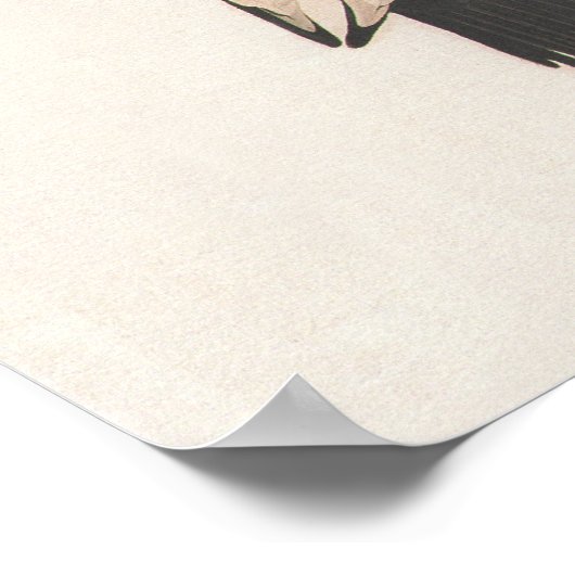 Audubon Ivory-Bled Woodpecker Poster (Hoek)