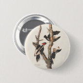 Audubon Ivory-Bled Woodpecker Ronde Button 5,7 Cm (Voorkant /achterkant)
