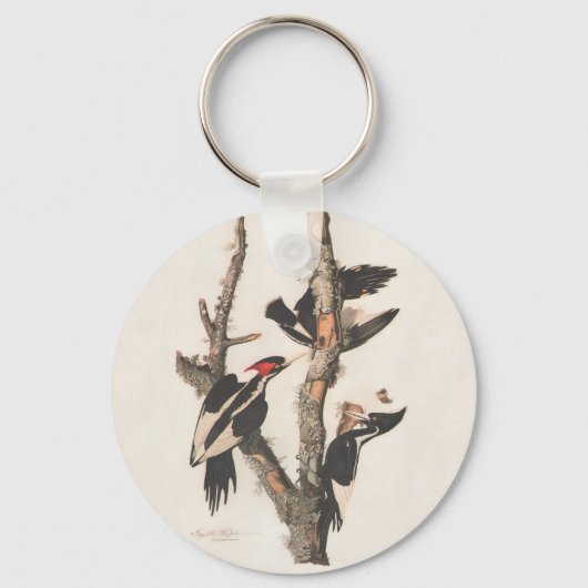 Audubon Ivory-Bled Woodpecker Sleutelhanger (Voorkant)