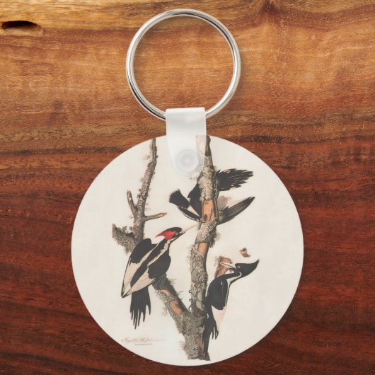 Audubon Ivory-Bled Woodpecker Sleutelhanger (Voorkant)