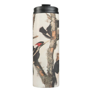 Audubon Ivory-Bled Woodpecker Thermosbeker