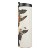 Audubon Ivory-Bled Woodpecker Thermosbeker (Geroteerd rechts)