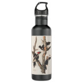 Audubon Ivory-Bled Woodpecker Waterfles (Voorkant)