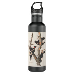 Audubon Ivory-Bled Woodpecker Waterfles