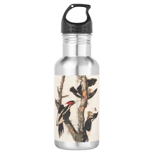 Audubon Ivory-Bled Woodpecker Waterfles (Voorkant)