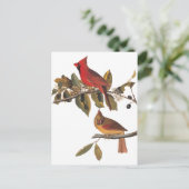 Audubon kardinaal paar in wilde amandelboom briefkaart (Staand voorkant)