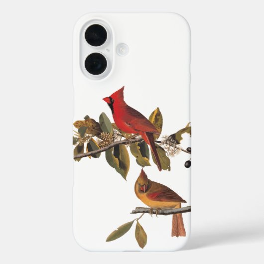 Audubon kardinaal paar in wilde amandelboom Case-Mate iPhone case (Achterkant)
