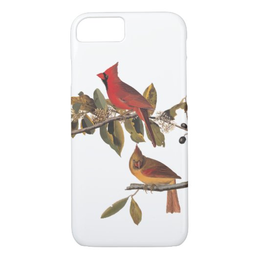 Audubon kardinaal paar in wilde amandelboom Case-Mate iPhone case (Achterkant)