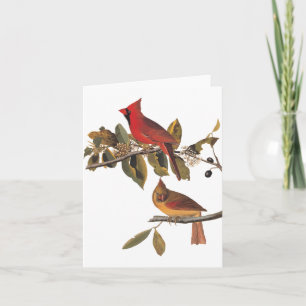 Audubon Kardinaal Paar in Wilde Amandelboom  Kaart