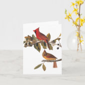 Audubon Kardinaal Paar in Wilde Amandelboom  Kaart (Gele Bloem)