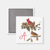 Audubon kardinaal paar in wilde amandelboom magneet (Voorkant / Achterkant)