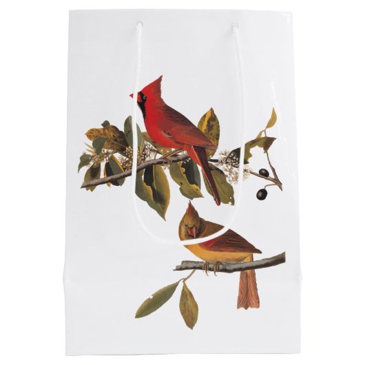 Audubon kardinaal paar in wilde amandelboom medium cadeauzakje (Achterkant)