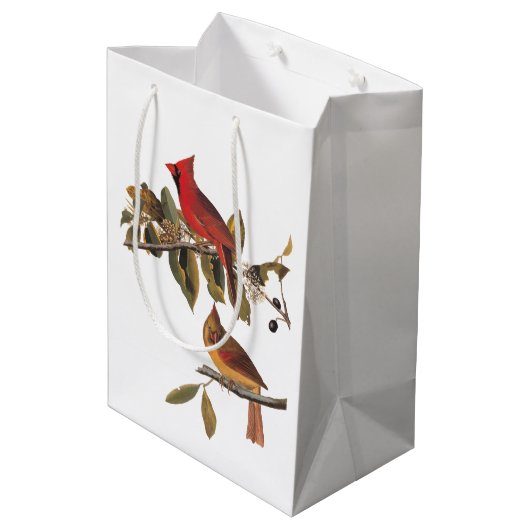 Audubon kardinaal paar in wilde amandelboom medium cadeauzakje (Achterkant Gekanteld)