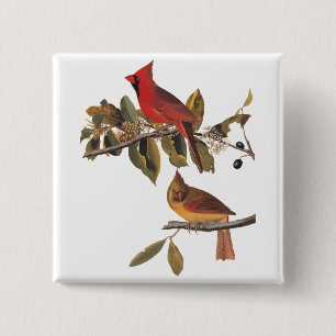 Audubon kardinaal paar in wilde amandelboom vierkante button 5,1 cm