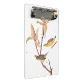 Audubon Kentucky Warblers op Magnolia Mini Klembord (Schuin)