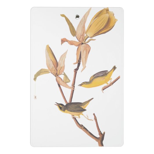 Audubon Kentucky Warblers op Magnolia Mini Klembord (Achterkant)