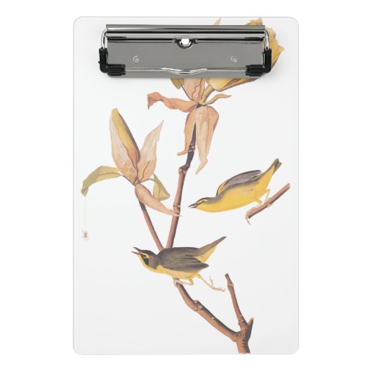 Audubon Kentucky Warblers op Magnolia Mini Klembord (Voorkant)