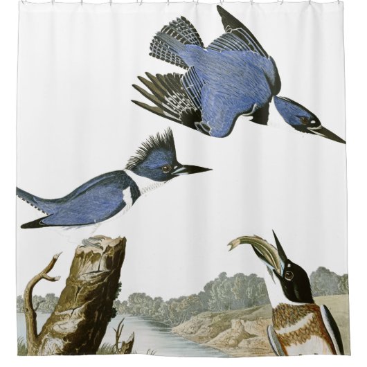 Audubon Kingfisher Birds Wildlife Showgordijn Douchegordijn (Voorkant)