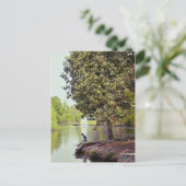 Audubon Lagoon Briefkaart (Staand voorkant)