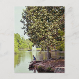 Audubon Lagoon Briefkaart