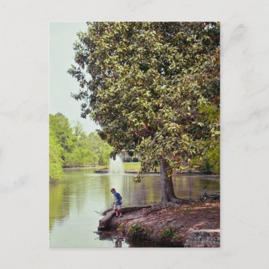 Audubon Lagoon Briefkaart (Voorkant)