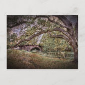 Audubon Lagoon Briefkaart (Voorkant)