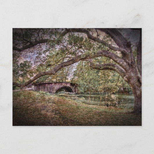 Audubon Lagoon Briefkaart (Voorkant)