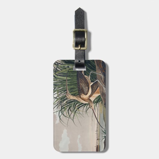 Audubon langsnavelige krulvogel bagagelabel (Voorkant verticaal)