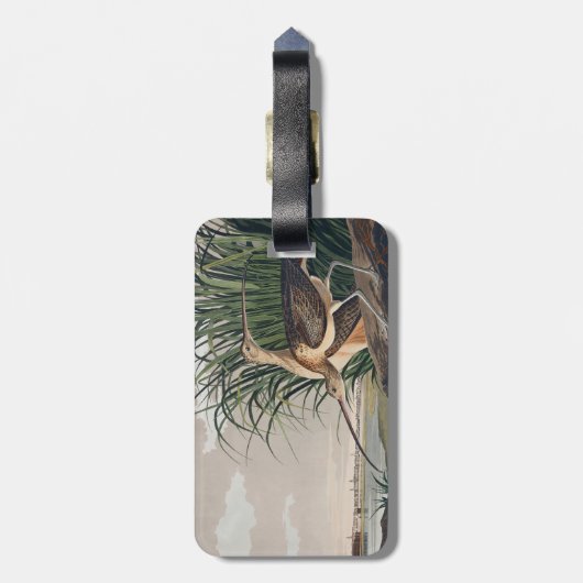 Audubon langsnavelige krulvogel bagagelabel (Achterkant verticaal)