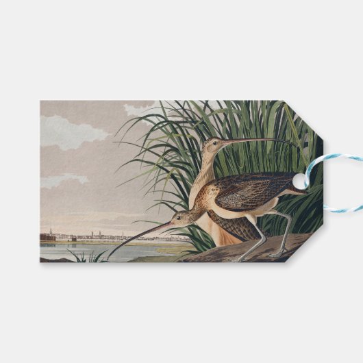 Audubon langsnavelige krulvogel cadeaulabel (Voorkant (Horizontaal))