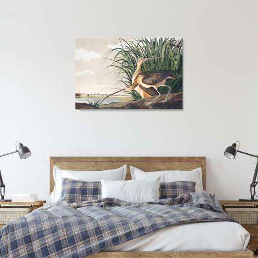 Audubon langsnavelige krulvogel canvas afdruk (Insitu (Slaapkamer))
