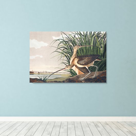 Audubon langsnavelige krulvogel canvas afdruk (Insitu (Houten vloer))