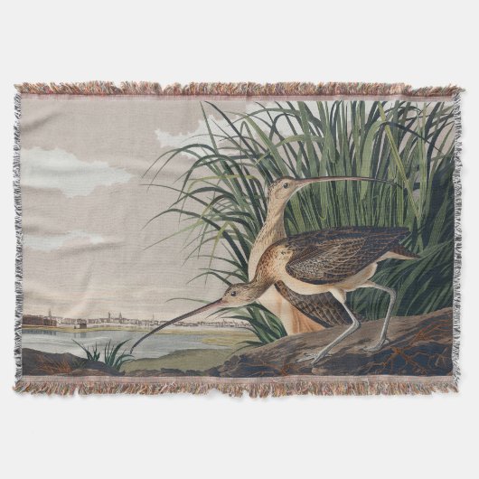 Audubon langsnavelige krulvogel deken (Voorkant)