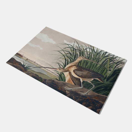 Audubon langsnavelige krulvogel deurmat (Schuin)