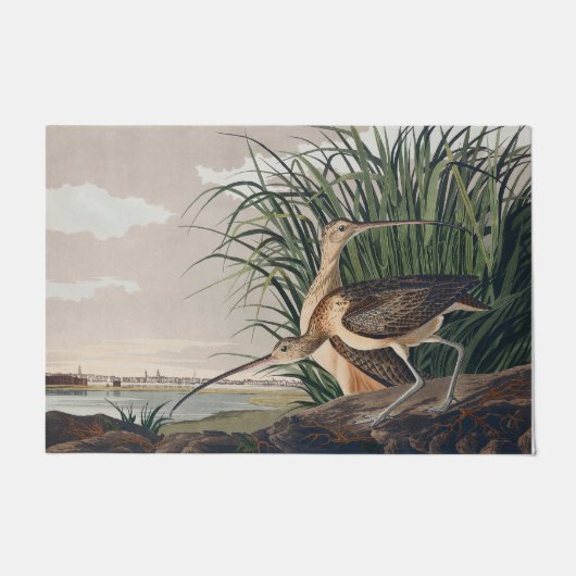 Audubon langsnavelige krulvogel deurmat (Voorkant)