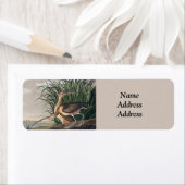 Audubon langsnavelige krulvogel etiket (Insitu)