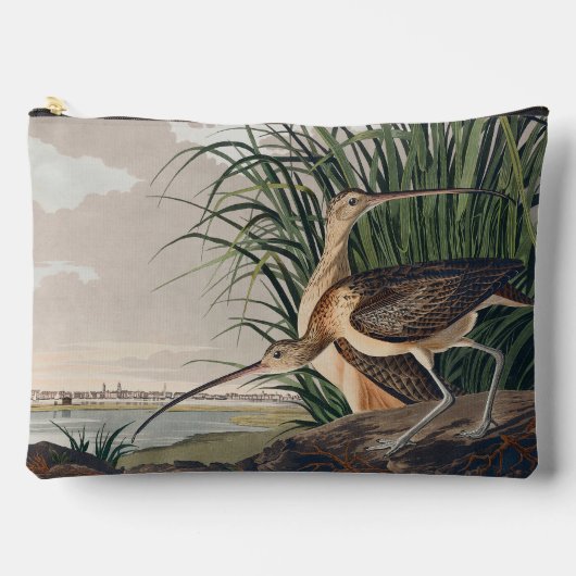 Audubon langsnavelige krulvogel etui (Voorkant)