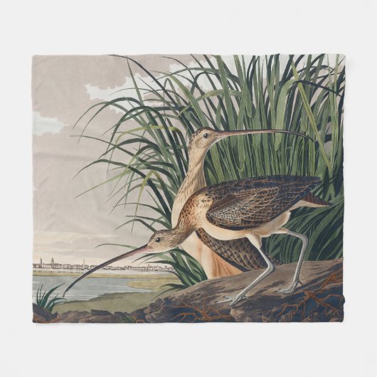 Audubon langsnavelige krulvogel fleece deken (Voorkant (Horizontaal))