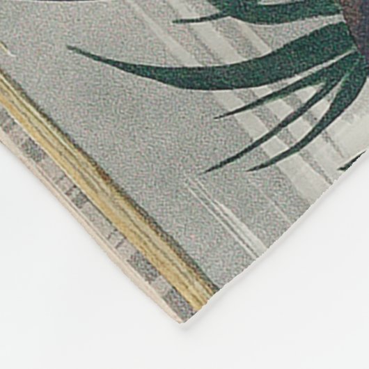 Audubon langsnavelige krulvogel fleece deken (Hoek)