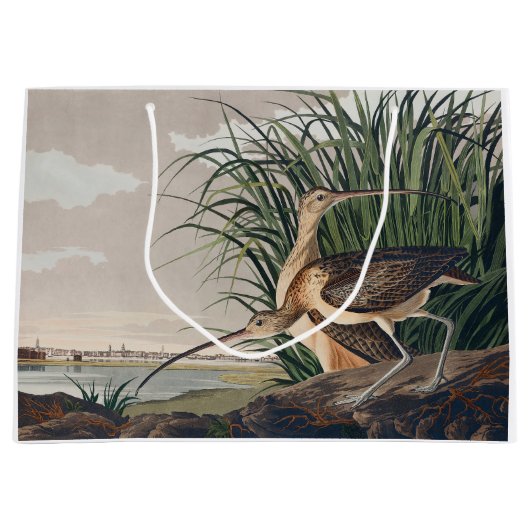 Audubon langsnavelige krulvogel groot cadeauzakje (Voorkant)