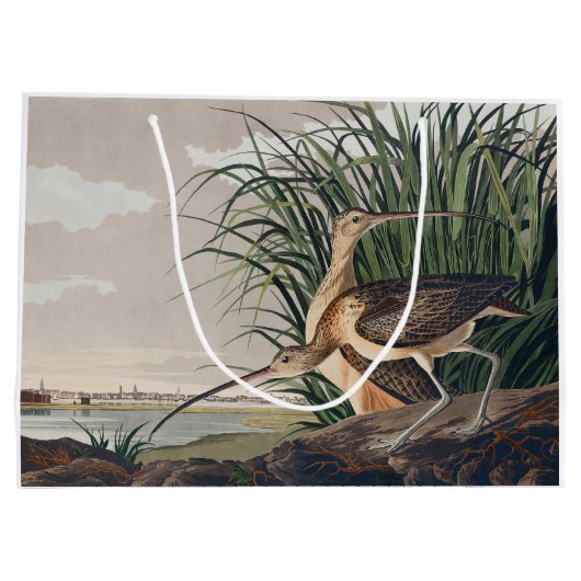 Audubon langsnavelige krulvogel groot cadeauzakje (Achterkant)