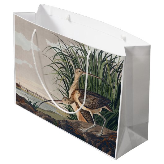 Audubon langsnavelige krulvogel groot cadeauzakje (Achterkant Gekanteld)